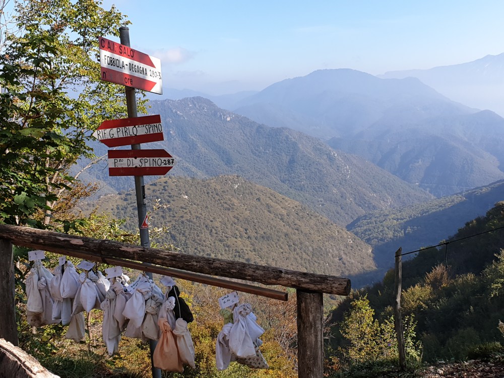 Ein Vogel im Netz wartet wie andere auf die Ringprozedur